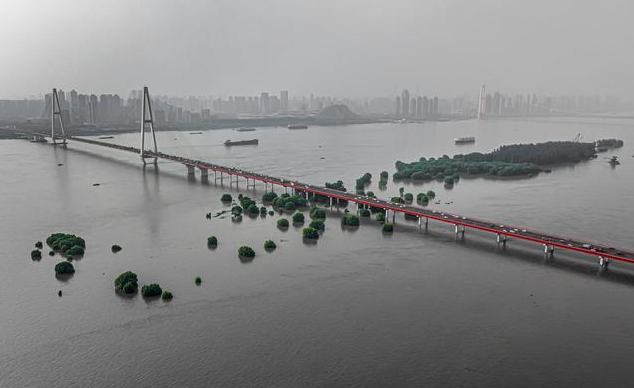 暴雨過后，蚊蟲鼠害帶來的問題影響